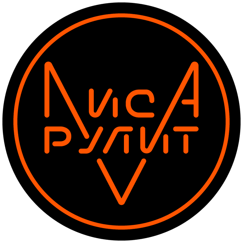 Лиса Рулит Казань