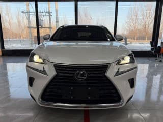 Lexus, NX, 2.0 л., 2021 г.