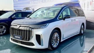 Русификация VOYAH DREAMER удаленная